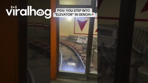 Elevator Ride Turns Into Unexpected Journey || ViralHog