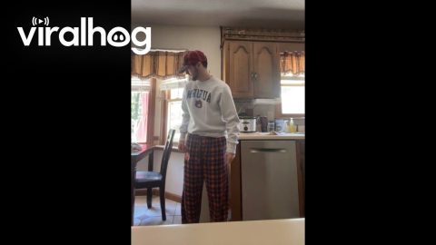 Dog Upstages Owner's Dance || ViralHog