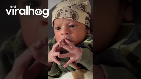 Baby Contemplates Life || ViralHog