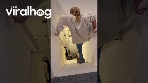 Navigating Freshly Painted Stairs || ViralHog