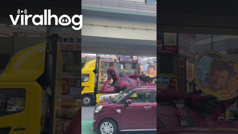 Deadpool Truck Spotted in Japan || ViralHog