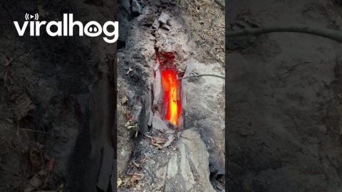 Marshmallow Roasted On Underground Coal Fire || ViralHog