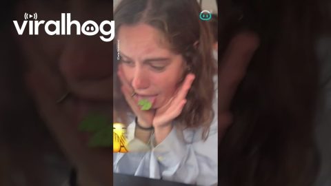 Girl Experiences Wasabi for FIRST TIME! || ViralHog