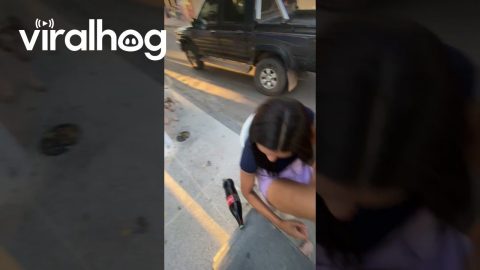 Dropped Cola Cracks Open || ViralHog