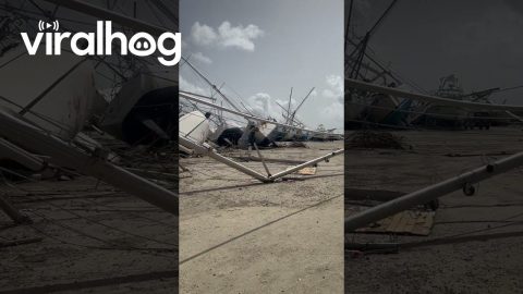 Hurricane Beryl Devastates Island of Carriacou || ViralHog