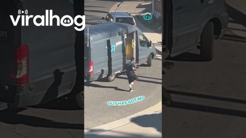 Delivery Drive Joins Party || ViralHog