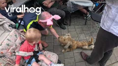 Dog Marionette Meets Playful Dad || ViralHog