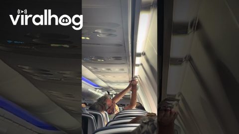 Airline Crew Comes to the Rescue || ViralHog