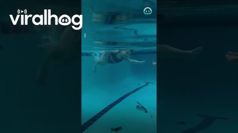 Toddler Swimming Independently || ViralHog