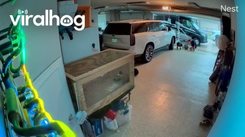 Man Slips and Falls on Wet Garage Floor || ViralHog