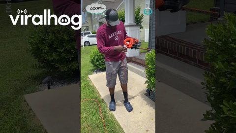 Showoff Slices Hedge Trimmer Cord || ViralHog