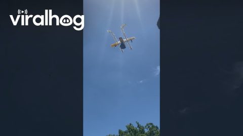 Drone Delivers Groceries || ViralHog