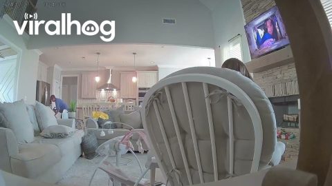 Woman Falls Backward in Rocking Chair || ViralHog