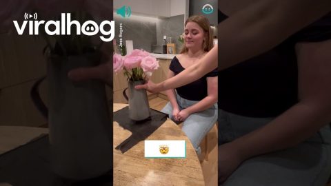 Sister's Hidden Talent Is UNREAL || ViralHog