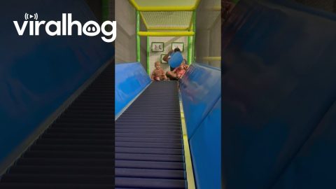 Boy Takes a Bumpy Ride || ViralHog