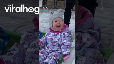 Twins Love Snow Slide || ViralHog