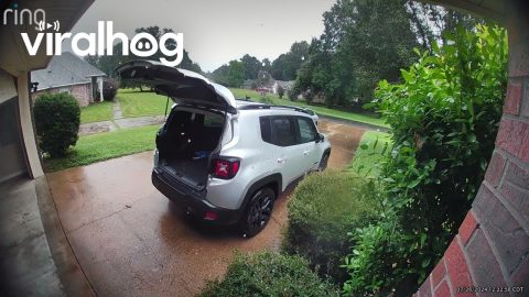 Woman Runs Into Garage Door While Trying to Protect Hair || ViralHog