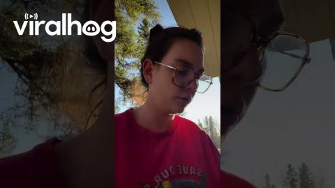 Army Worm Infestation || ViralHog