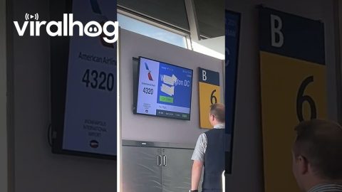 Gate Agent Tries To Correct Flight Information || ViralHog
