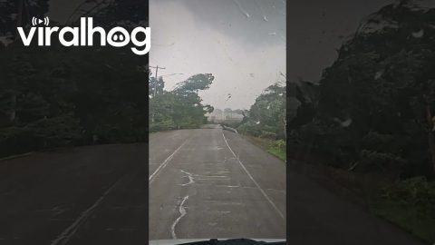 Driver Gets Caught In Tornado's Path || ViralHog