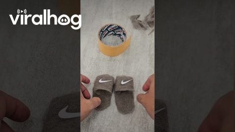 Cat Wears Slippers Made Of Own Fur || ViralHog