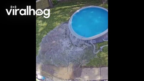 Inflatable Pool Overflows || ViralHog