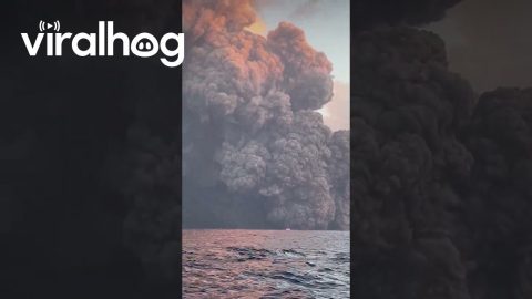 Stromboli Volcano Eruption Produces Massive Ash Plume || ViralHog
