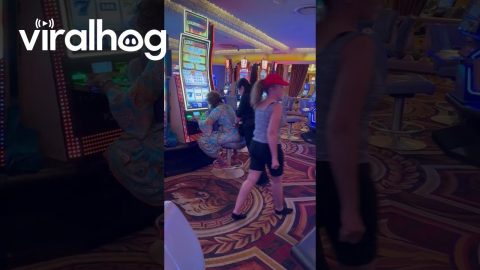 Winning at Relaxation While Hitting the Slots || ViralHog