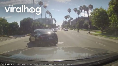 Turning Tesla Gets T-Boned || ViralHog