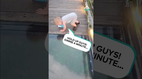 Toddler Attempts Glass Bridge Crossing || ViralHog
