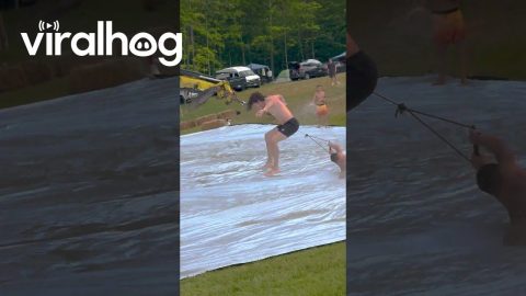 Senderland Athletes On Slip And Slide || ViralHog