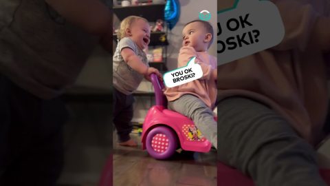 Adorable Twin Duo Play on Cart || ViralHog