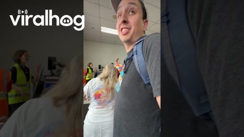Power-Tripping Spirit Airlines Employee || ViralHog