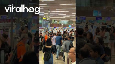 Travelers Delayed By Global Outages At Singapore Airport || ViralHog