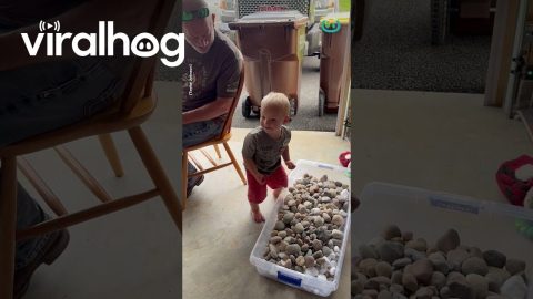 Toddler is OBSESSED with Rocks || ViralHog