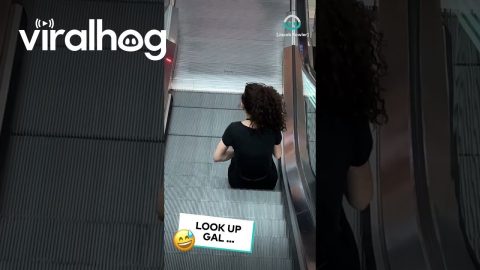 Lady Gets Stuck on Escalator || ViralHog