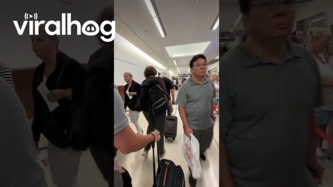 Blue Screens Ground Flights During IT Outage || ViralHog