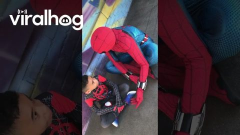 Spider Cast Member Chats With Young Autistic Fan About Web Shooters || ViralHog