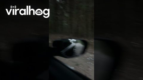 New Car Caught In Hailstorm || ViralHog