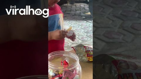 Kid Dips Fries In Closed Sauce Cup || ViralHog