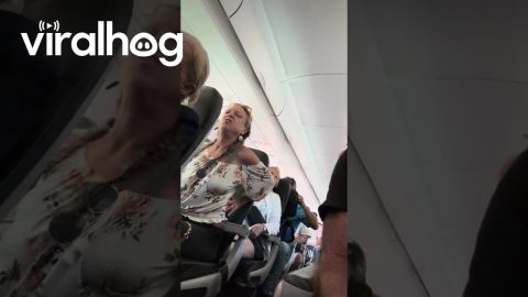 Drama As Airplane Passenger Wants To Stand || ViralHog