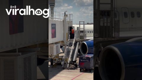 Baggage Handlers Get Rough With Luggage || ViralHog