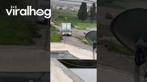 Box Truck Drives Through Flooded Road || ViralHog