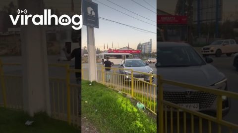 Man Exits Moving Car Without Missing A Beat || ViralHog