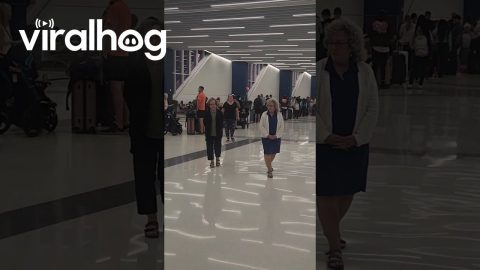 Passengers Contend With Delays During Global Computer Outage || ViralHog