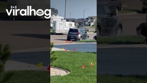 Lawn Sprinklers Offer Parcel Worker Heat Relief || ViralHog