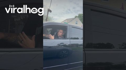 Man Questions Content Creator Sitting In Car || ViralHog