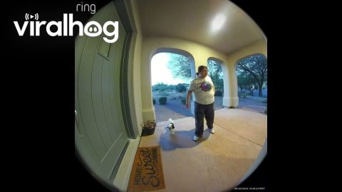 Pizza Delivery Person Returns Dog || ViralHog