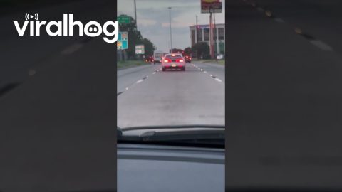 Cars Swing Through Multiple Lanes In Houston || ViralHog