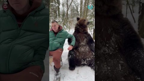 Bear Wants to Hold Hands || ViralHog